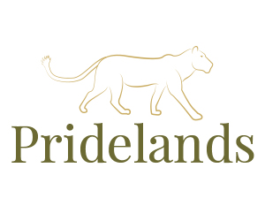 Pridelands in Hoedspruit