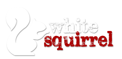 White Squirrel Design Studio